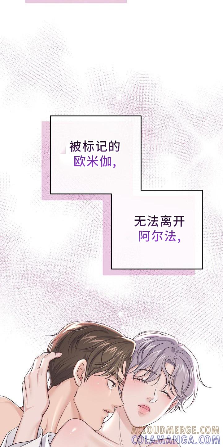 《阿尔法管家》第157章：【番外】束缚 第25页