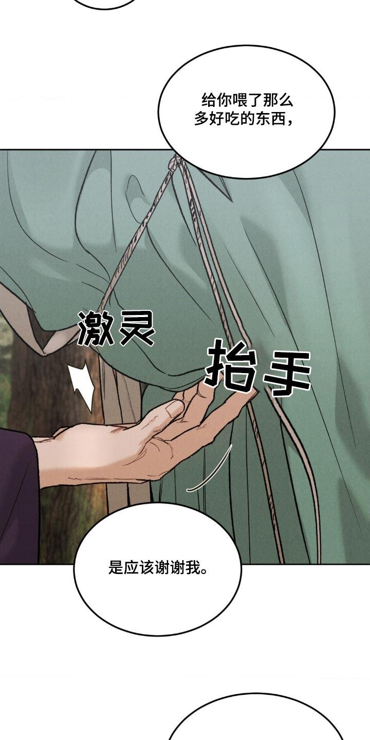 《沉迷其中》第158章：【番外】下山 第16页