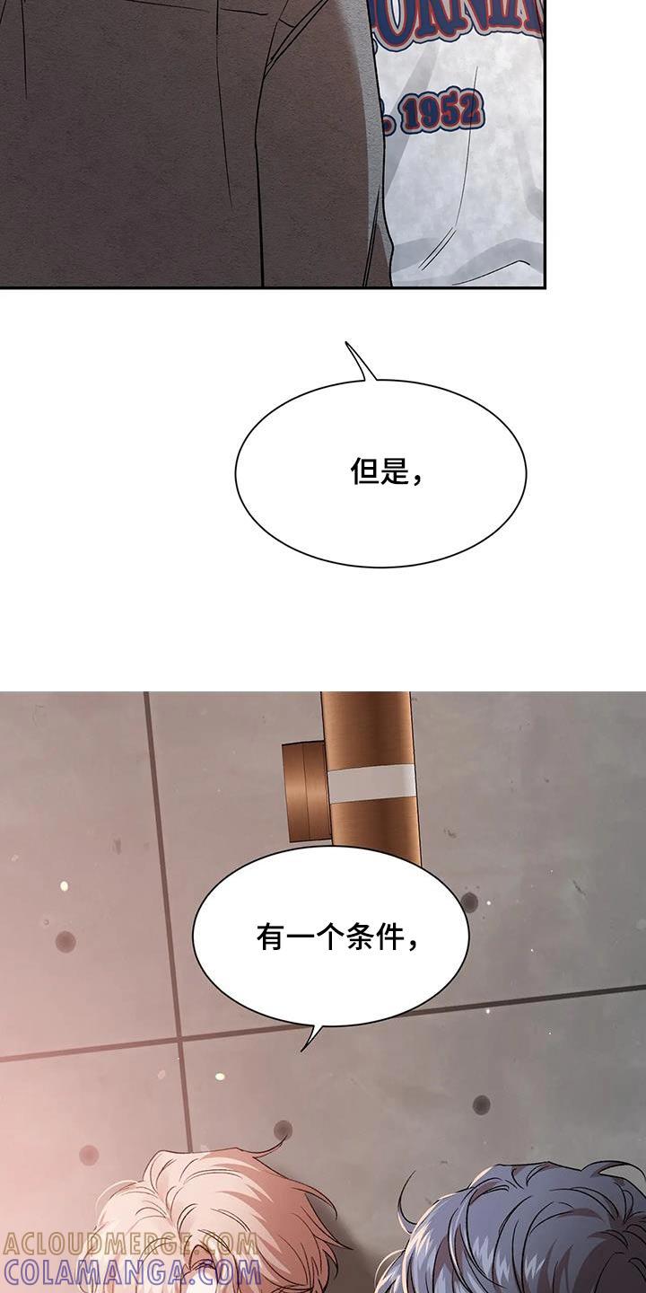 《初见心动》第163章：【第二季】条件 第33页