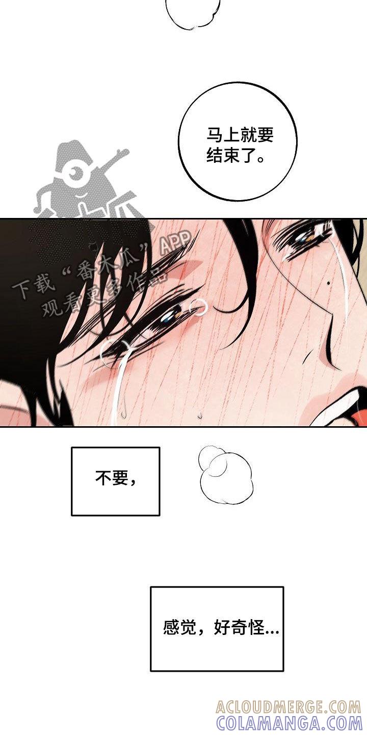 《独占预谋》第20章：还没结束 第25页