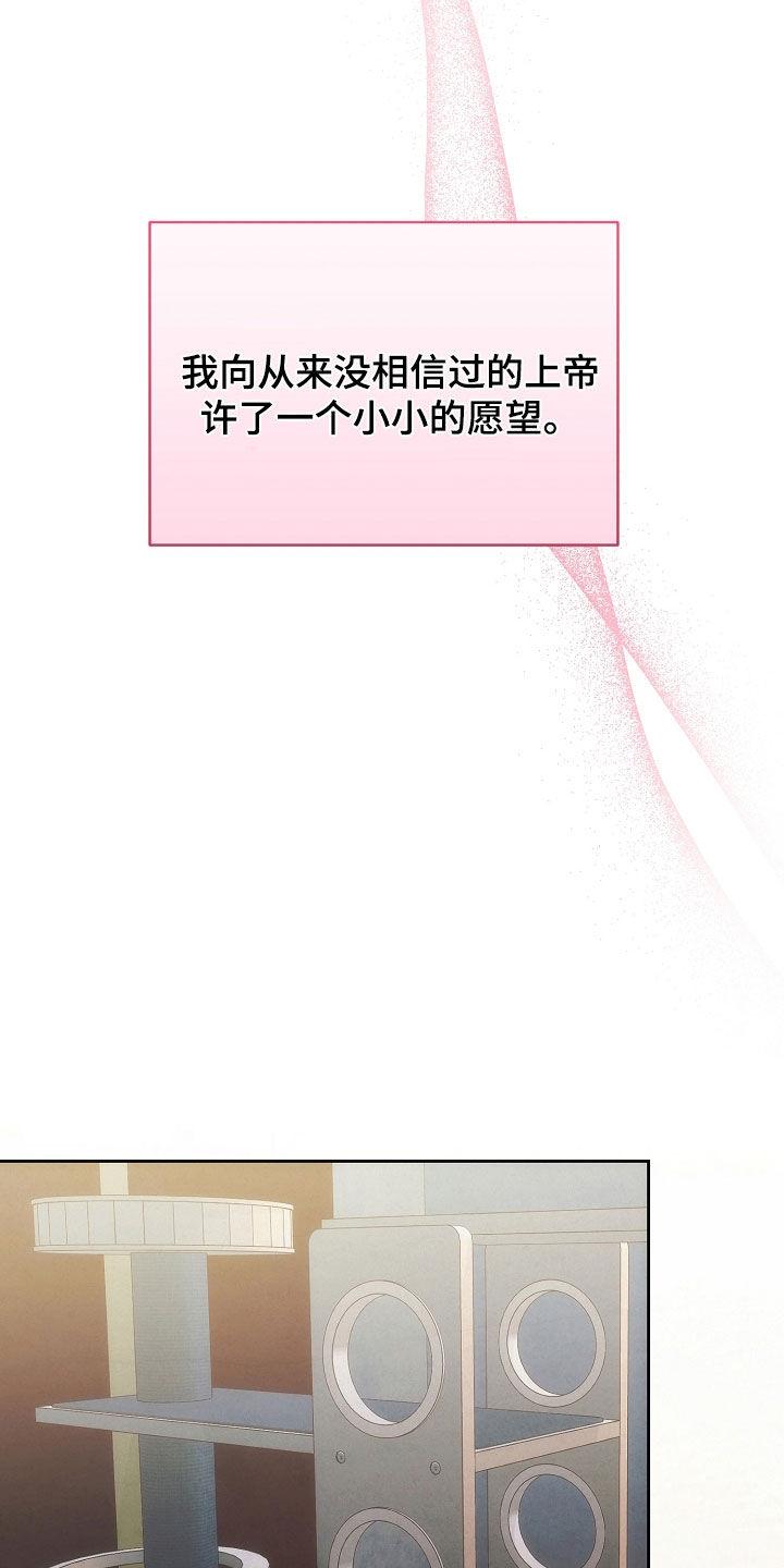 《血色公寓》第79章：不能没有我 第10页