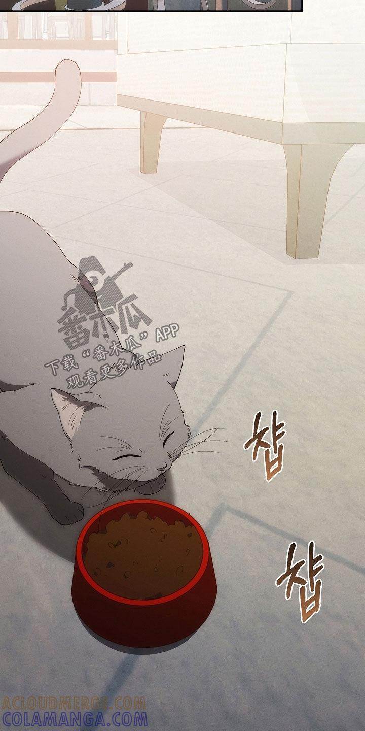 《血色公寓》第79章：不能没有我 第11页