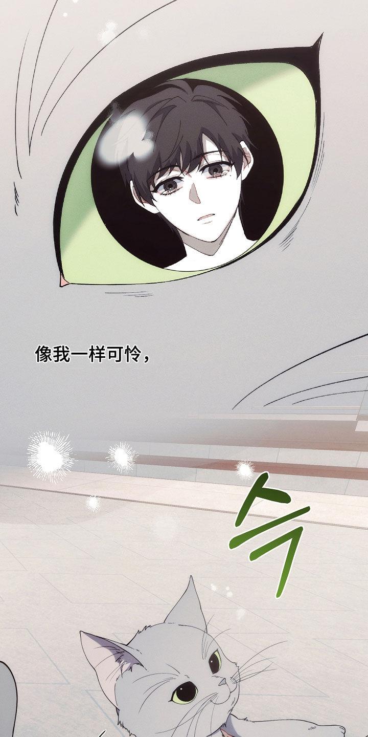 《血色公寓》第79章：不能没有我 第28页