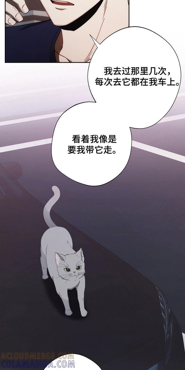 《血色公寓》第79章：不能没有我 第15页