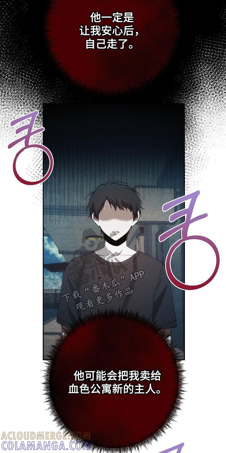《血色公寓》第80章：他去哪了 第31页
