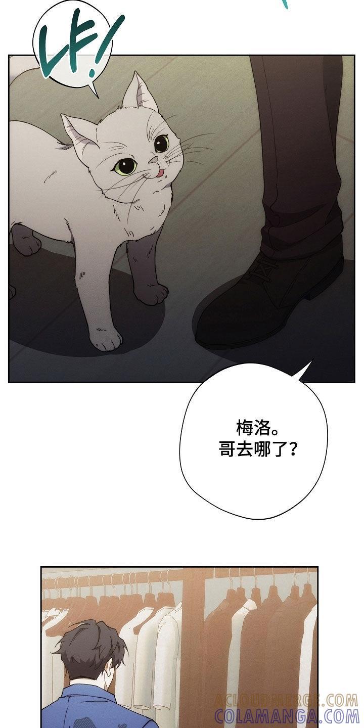 《血色公寓》第86章：我没偷东西 第27页