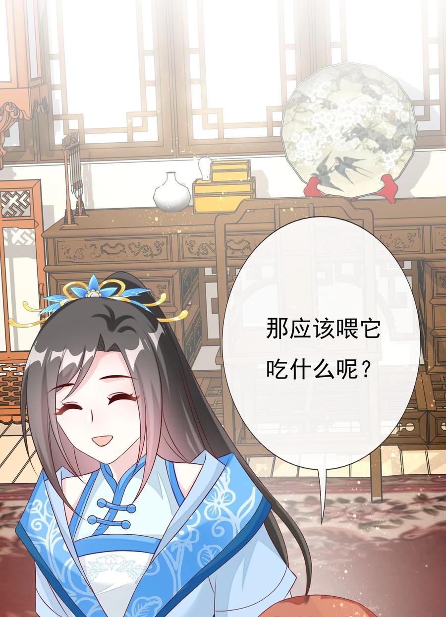 《恶毒千金成团宠》039 元宠！ 第65页