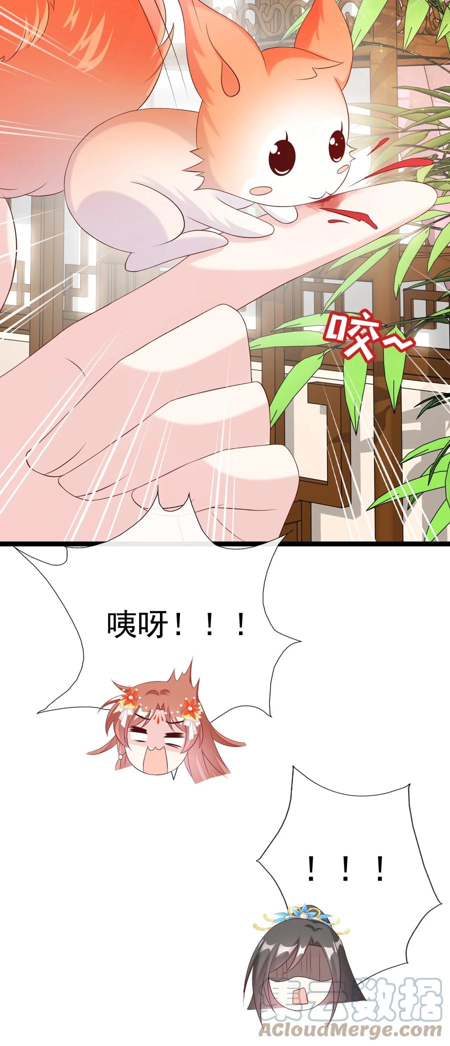 《恶毒千金成团宠》039 元宠！ 第55页