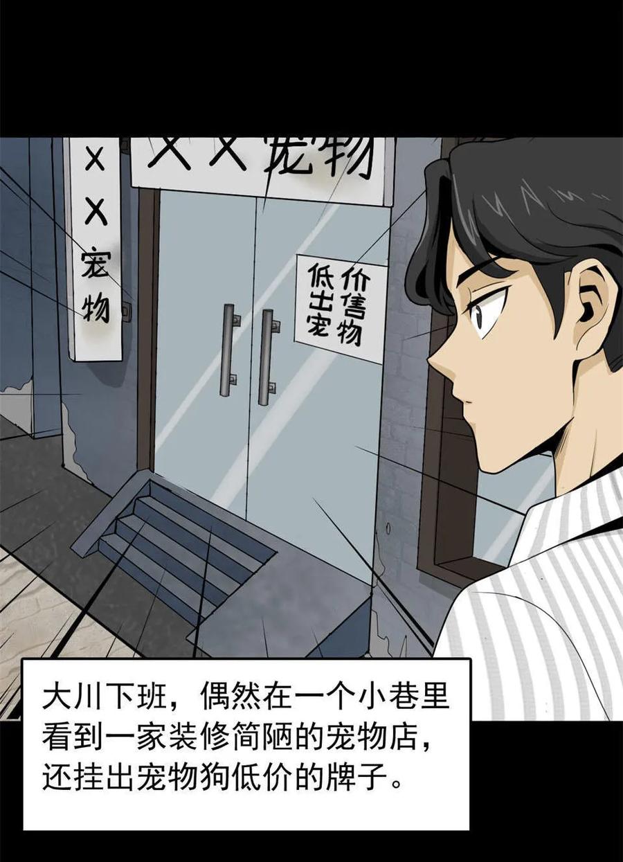 《噩诡夜宵》宠物 第1话 第10页