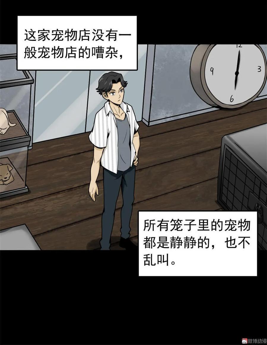《噩诡夜宵》宠物 第1话 第12页