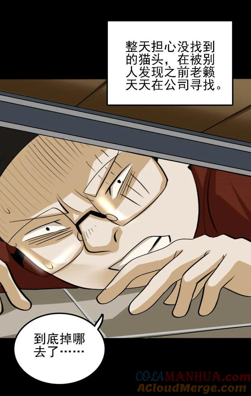 《噩诡夜宵》猫咒 第3话 第5页
