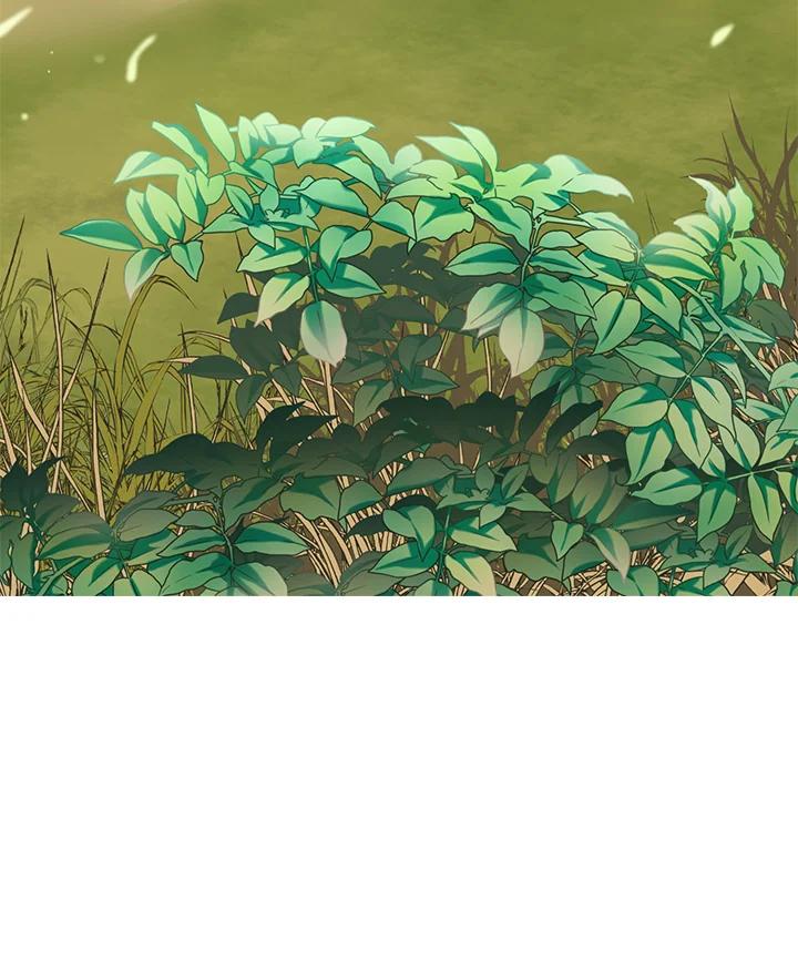 《恶棍公爵强求我的爱》序章 第65页