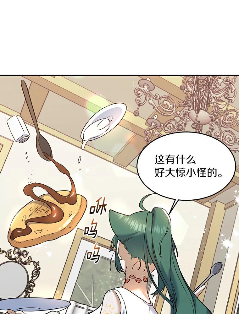 《舌尖上的魔法师》20.艾琳的苦衷 第59页