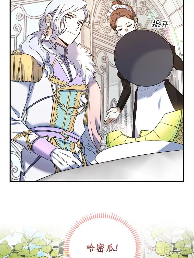 《舌尖上的魔法师》20.艾琳的苦衷 第84页