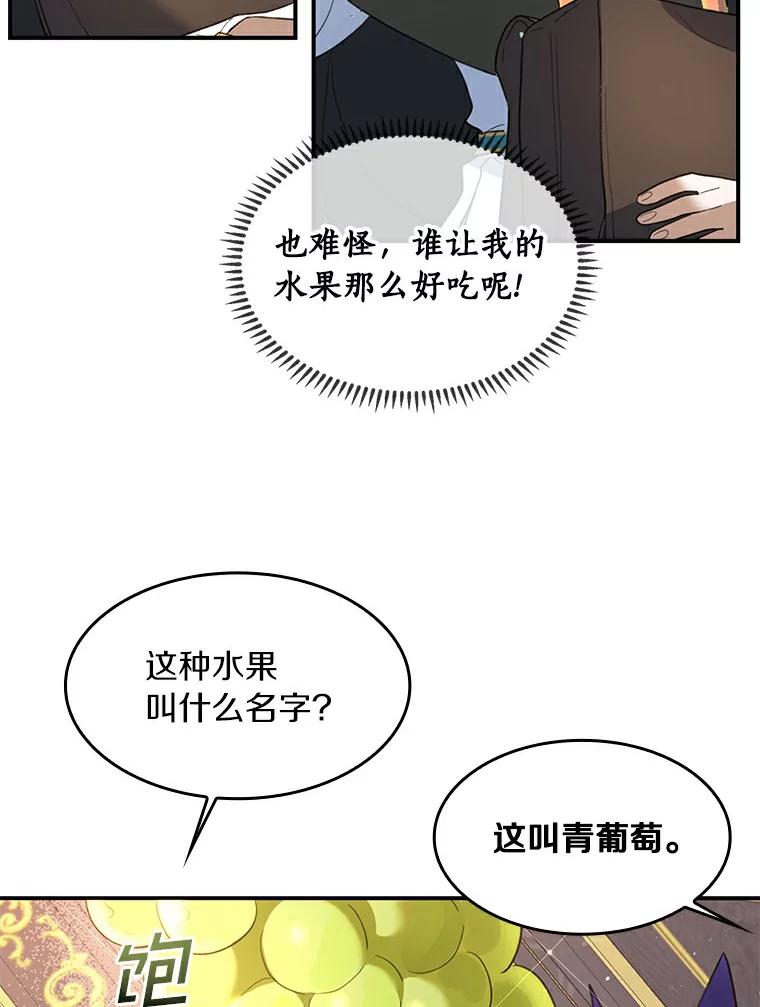 《舌尖上的魔法师》25.反常的公爵 第55页