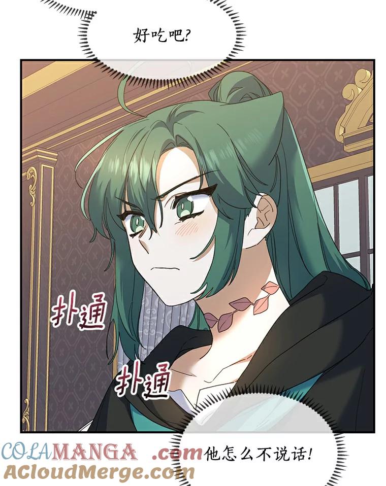 《舌尖上的魔法师》26.公爵的礼物 第17页