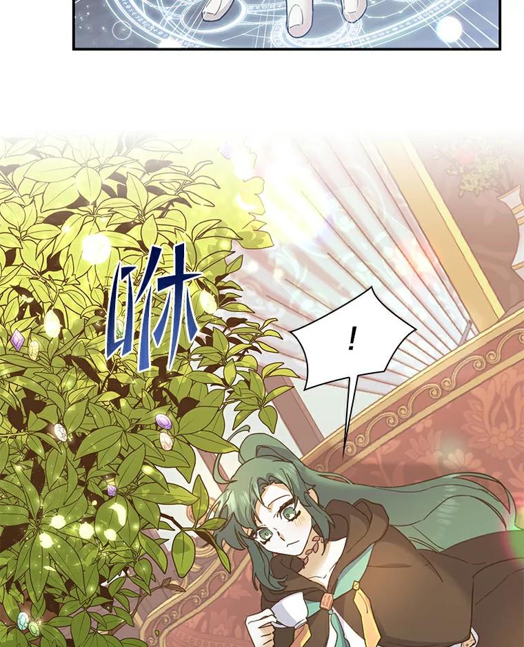 《舌尖上的魔法师》26.公爵的礼物 第64页