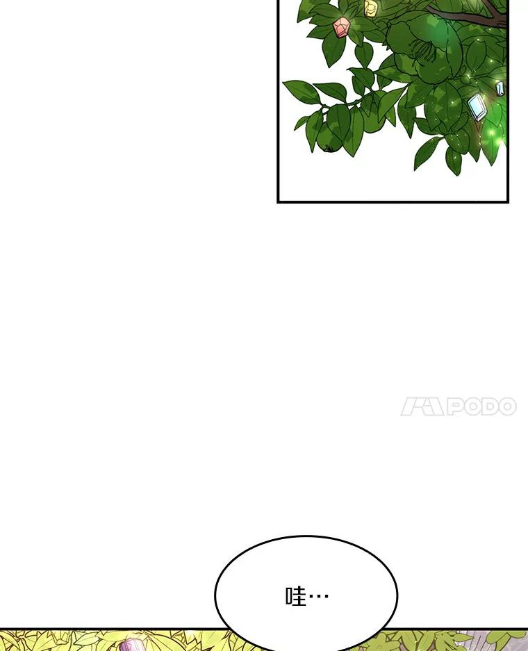 《舌尖上的魔法师》26.公爵的礼物 第68页