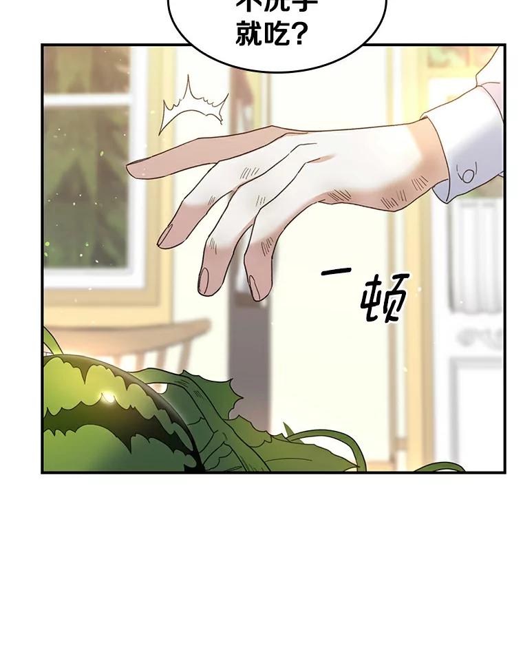 《舌尖上的魔法师》28.揭开身份 第31页