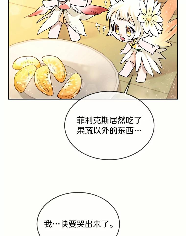 《舌尖上的魔法师》35.魔兽出现 第42页