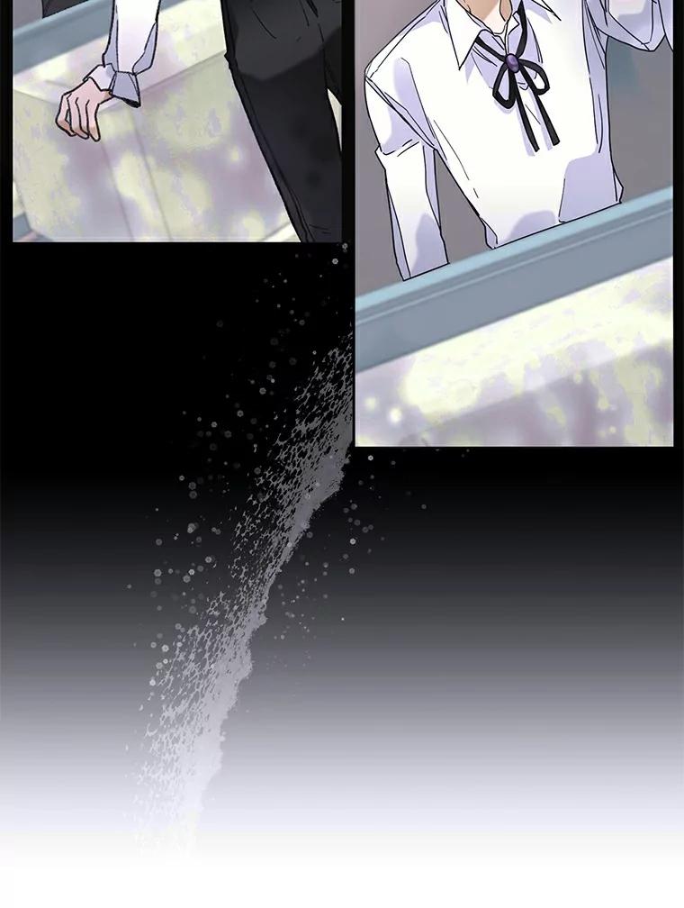 《舌尖上的魔法师》36.产生实感 第52页