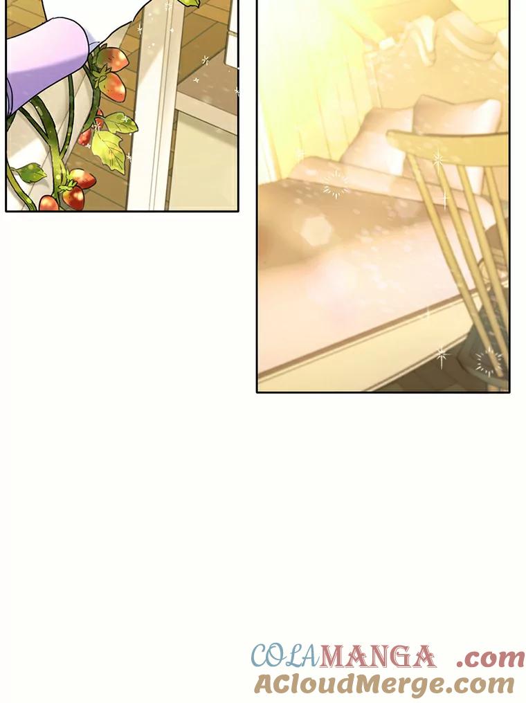 《舌尖上的魔法师》37.寻找希薇娅 第21页