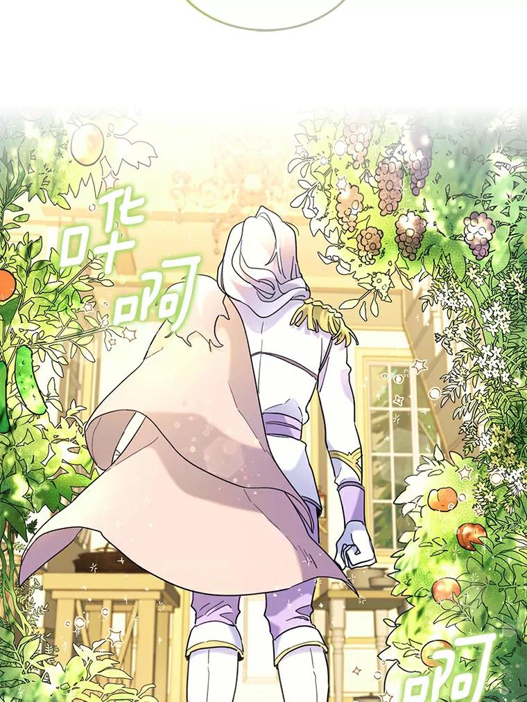 《舌尖上的魔法师》37.寻找希薇娅 第19页