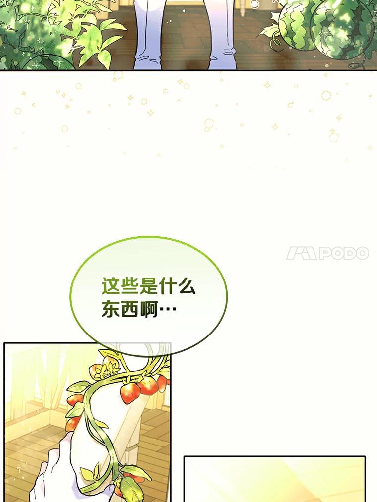 《舌尖上的魔法师》37.寻找希薇娅 第20页