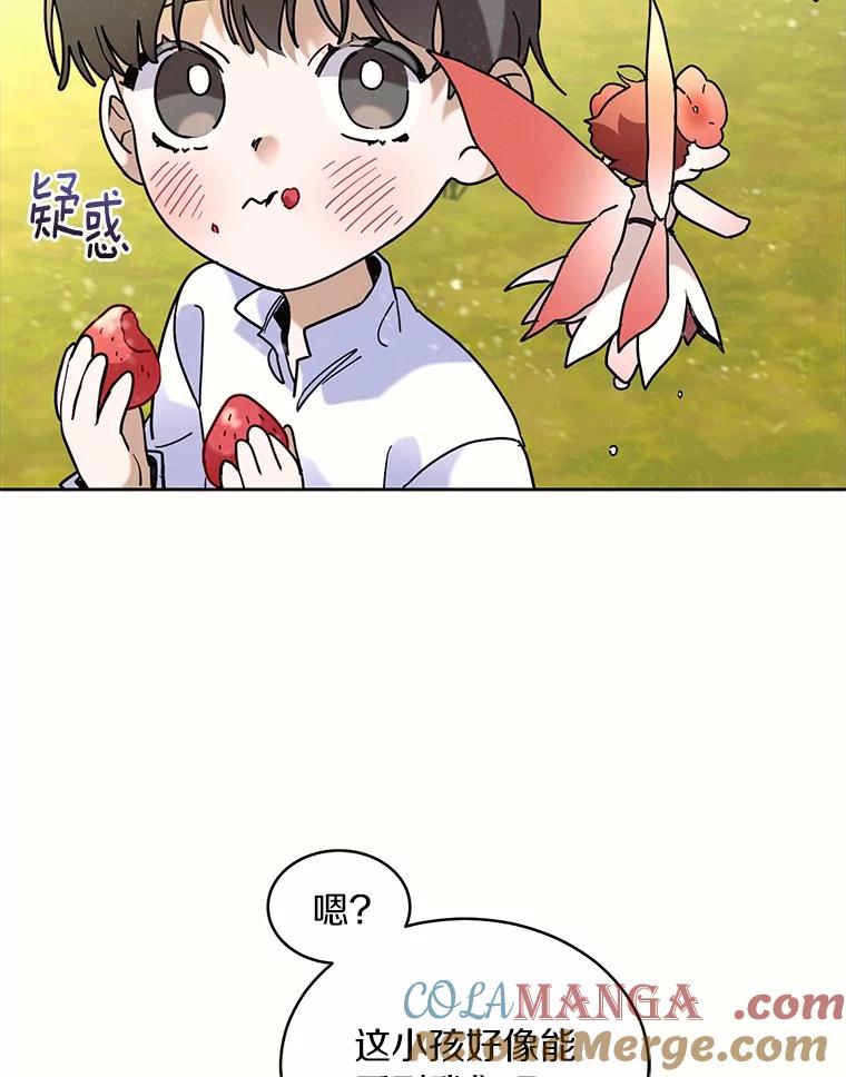 《舌尖上的魔法师》40.误入秘境 第13页