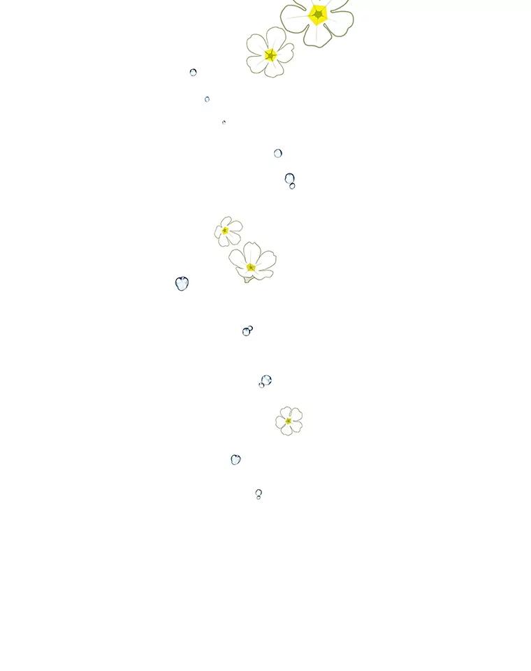 《恶棍家族的继承女》10.阿尔尼的肩伤 第126页