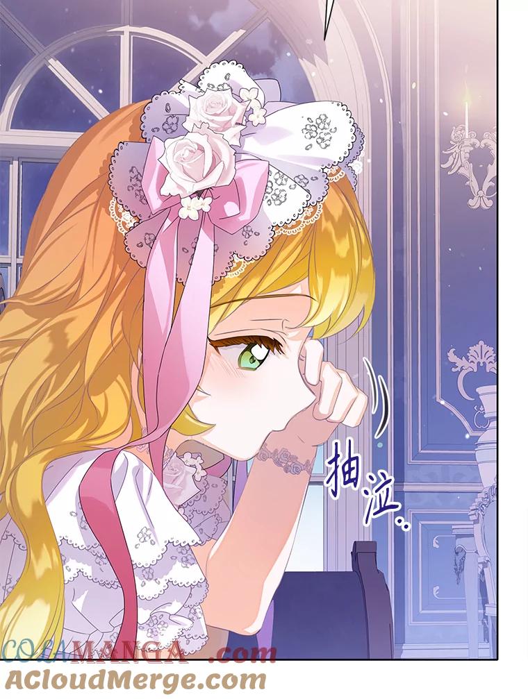 《恶棍家族的继承女》17.修改目标 第45页
