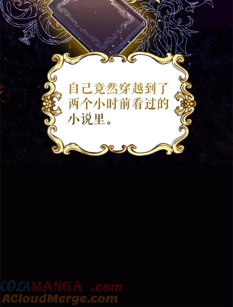 《恶棍家族的继承女》1.转生成平民 第29页