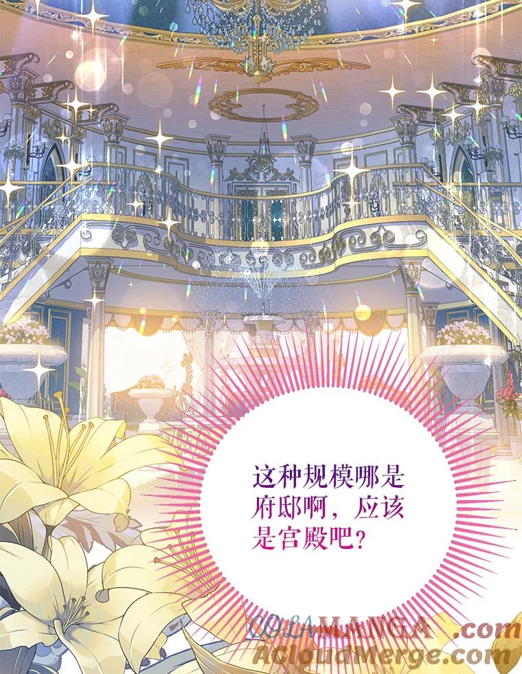 《恶棍家族的继承女》3.第一次见公爵 第13页