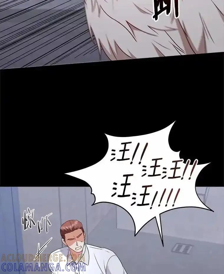 《你好？兽医先生！》59.我们回家吧 第33页