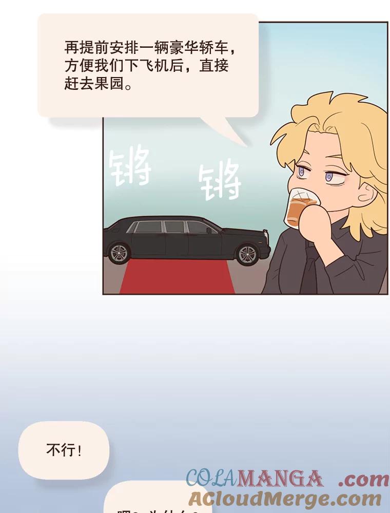 《财阀访谈》62.苹果采收专案组成立！ 第13页