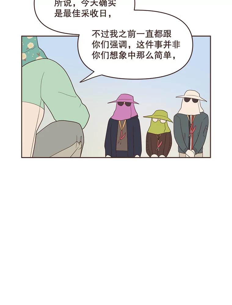 《财阀访谈》64.采收现场 第32页
