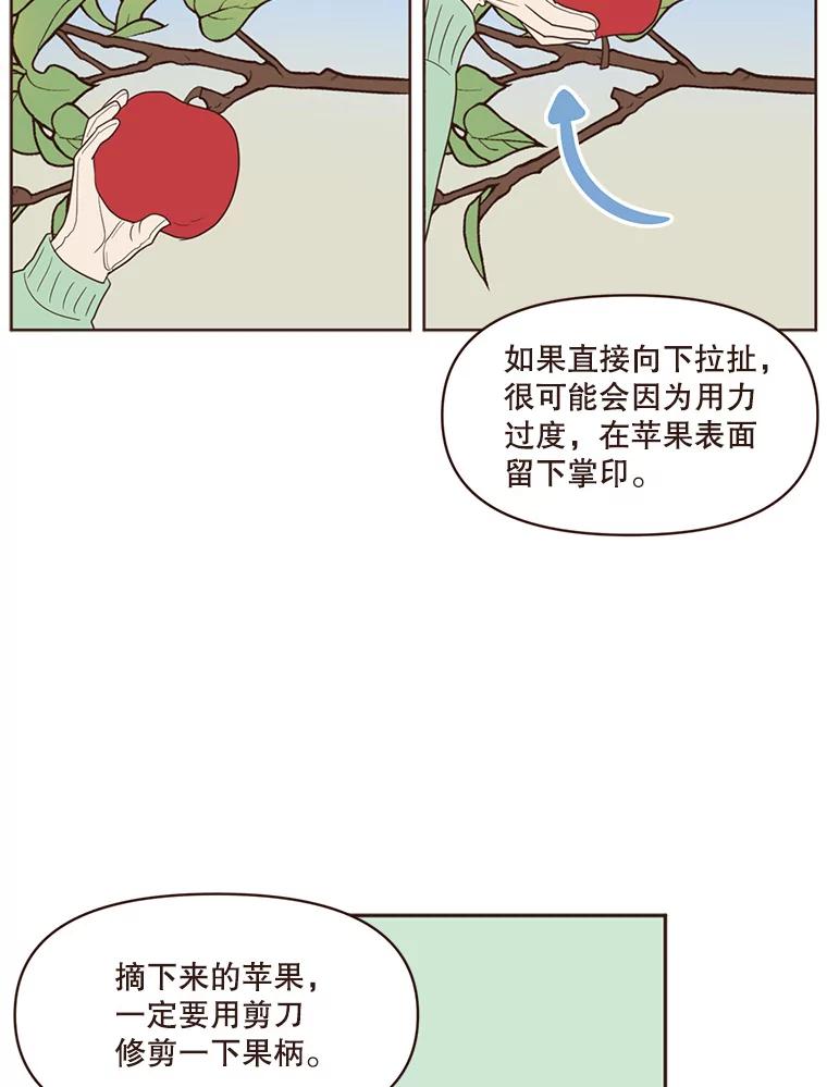 《财阀访谈》64.采收现场 第29页
