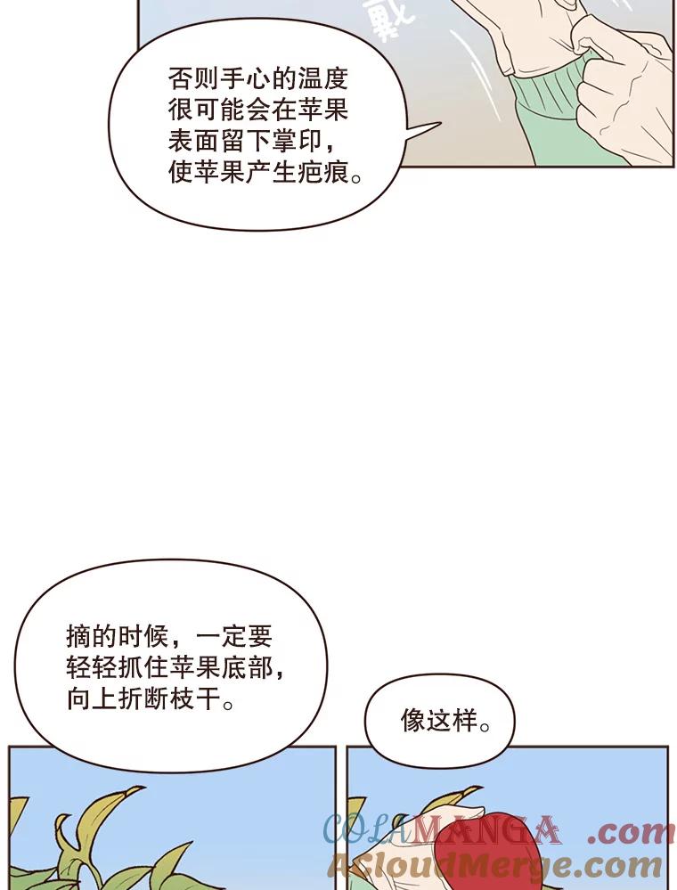 《财阀访谈》64.采收现场 第28页