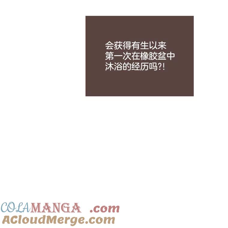 《财阀访谈》67.没有秘密 第61页