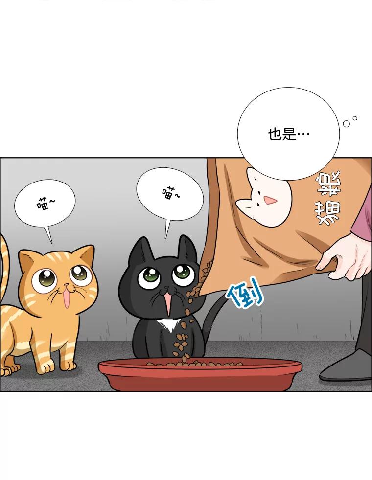 《甜咸男女》73.章鱼小丸子 第56页