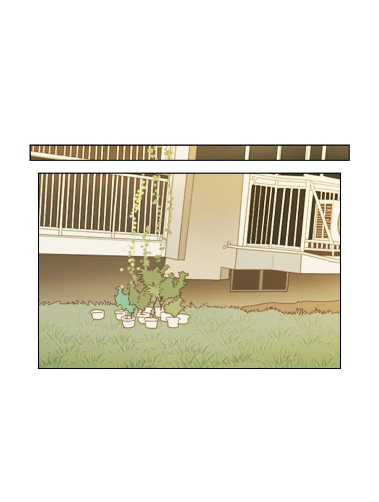 《甜咸男女》78.往事（4） 第27页