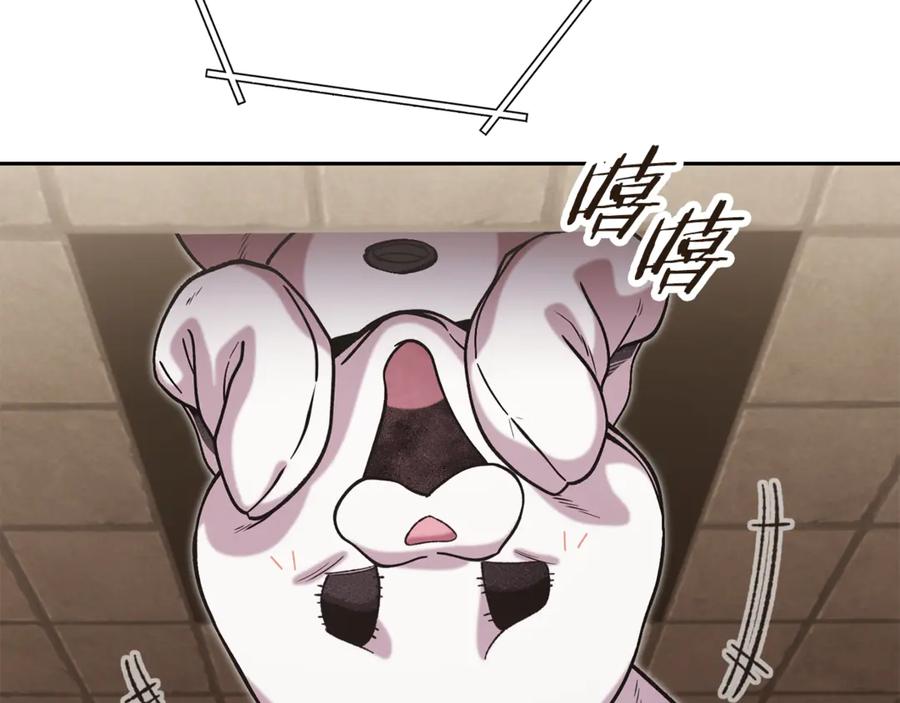 重启地下城 第242话 令人不愉快的陷阱 第67页