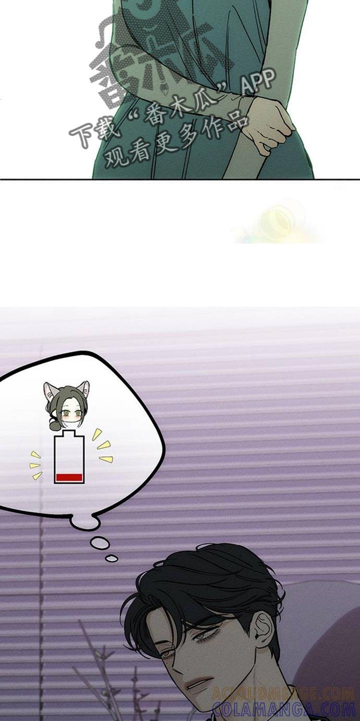 枯萎的花伤心的泪 第136章：有缘分一定要再见 第21页