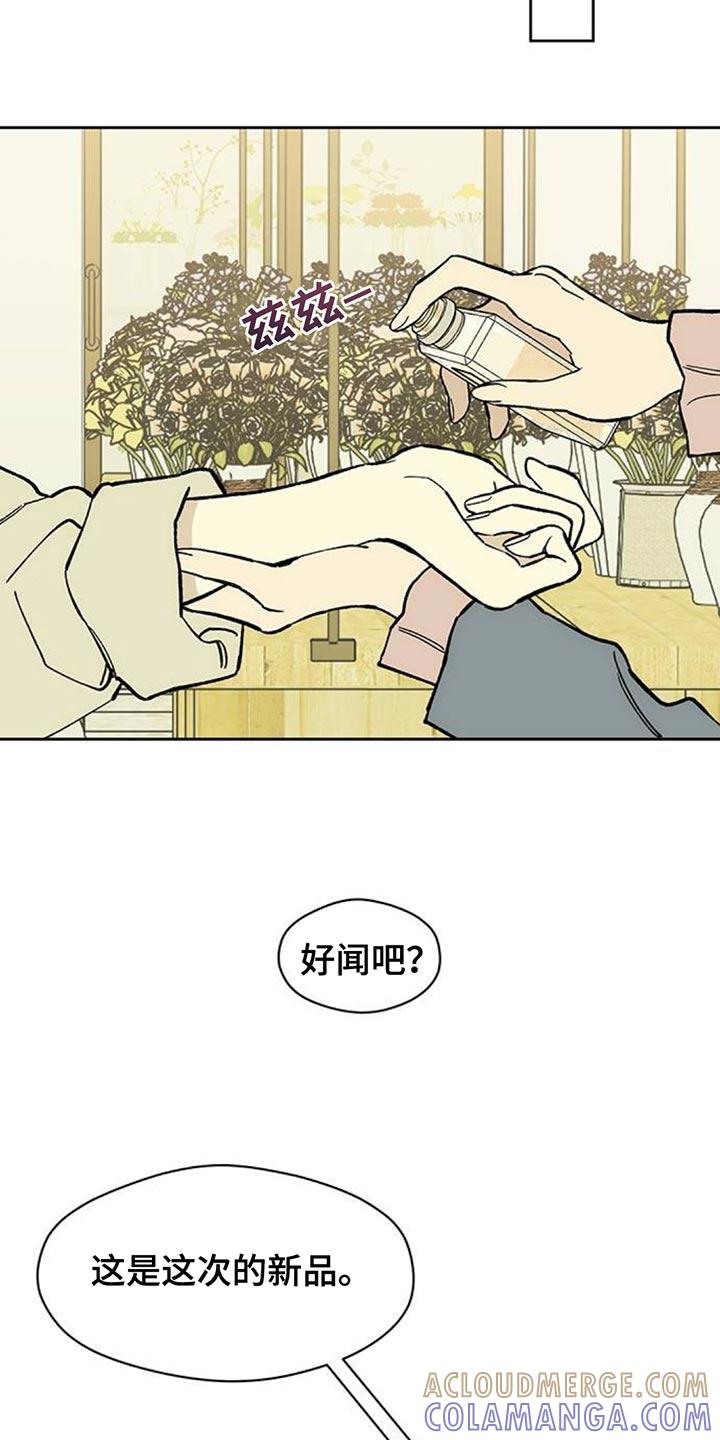 枯萎的花伤心的泪 第137章：我不打算给你 第11页