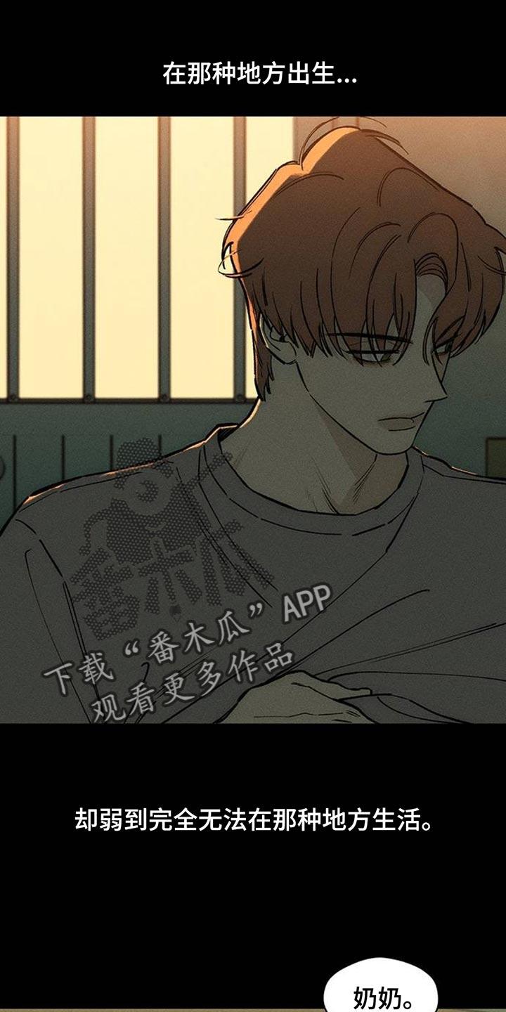 枯萎的花伤心的泪 第142章：不再说冬天冷 第6页