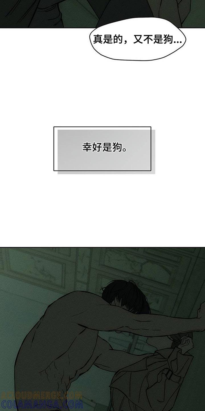 枯萎的花伤心的泪 第152章：幸好是狗 第17页