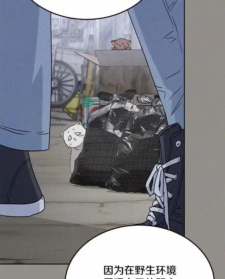 《你好？兽医先生！》62.动物的信号 第36页