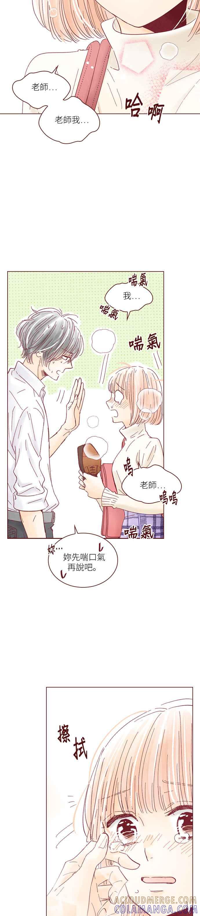 《迟来的初恋》第115话 第13页