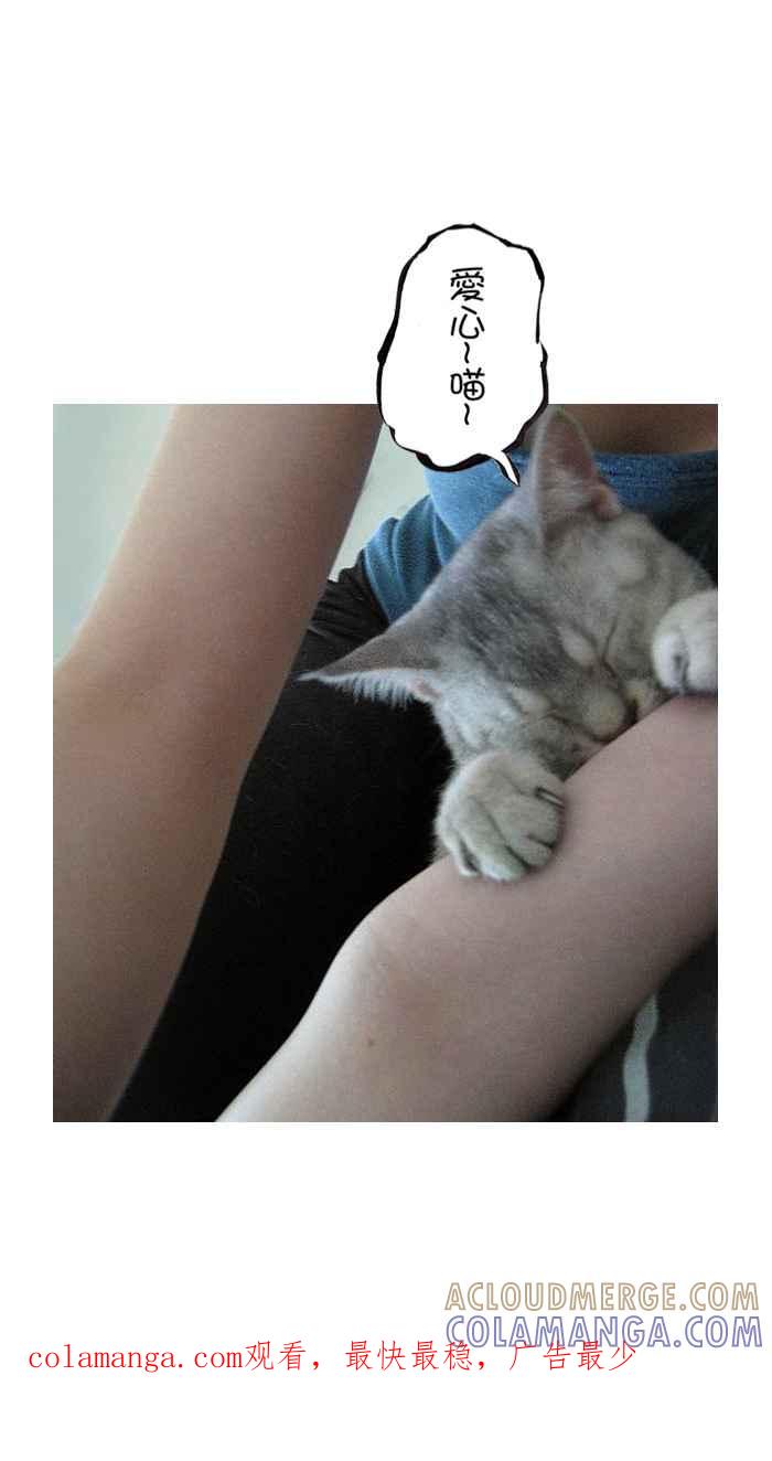 猫剑客 [第109话] 折翼天使 伍拾贰，道不同 第46页