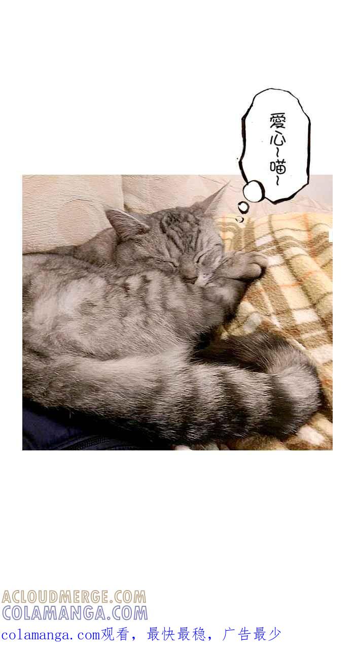 猫剑客 [第110话] 折翼天使 伍拾参，肉垫 VS 肉垫 第39页
